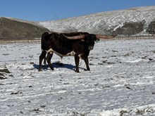 Drop It Like It’s Hot